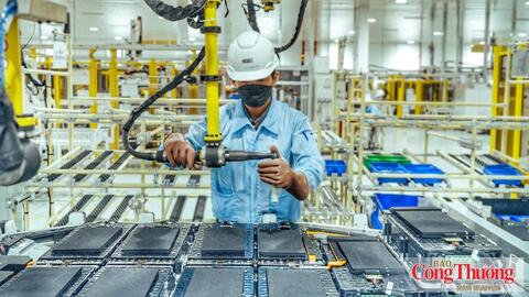 CPTPP: 'Điểm nối' để hàng Việt đi sâu vào thị trường Mỹ Latinh