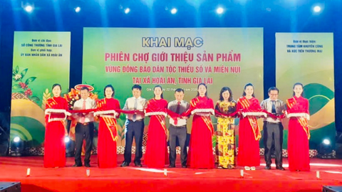 Gia Lai: Kết nối tiêu thụ đặc sản vùng đồng bào dân tộc thiểu số và miền núi