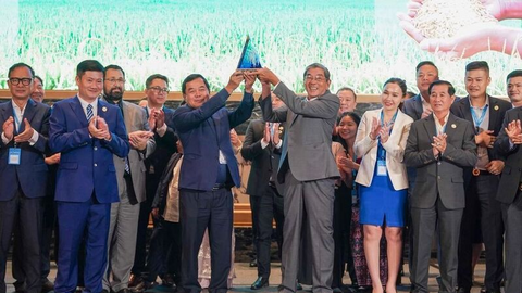 ST25 lần 3 đoạt 'Gạo ngon nhất thế giới': Vì sao?