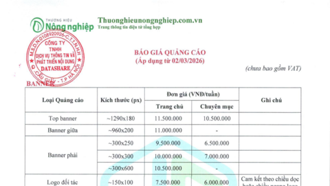 Báo giá năm 2026
