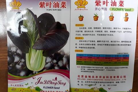 Tràn lan hạt giống rau, quả nhập lậu, ngành chức năng bó tay?