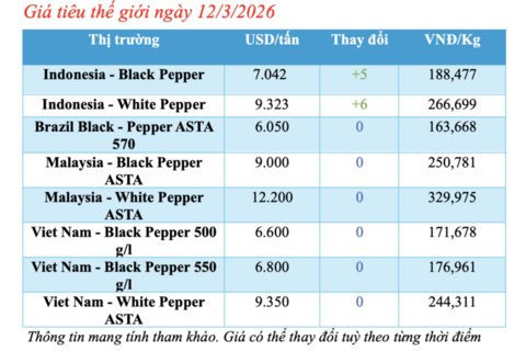Giá tiêu hôm nay 12/3/2026: Giảm nhẹ vài nơi
