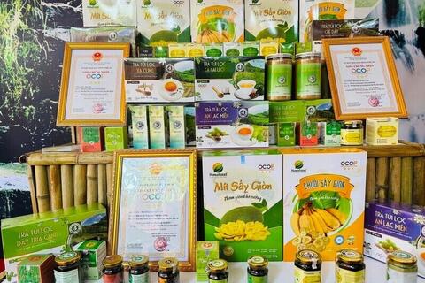 Đa dạng sản phẩm OCOP, Nghệ An khẳng định lợi thế nông sản địa phương