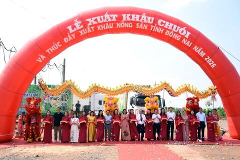 Đồng Nai đứng đầu về xuất khẩu chuối, sản lượng đạt trên 700.000 tấn/năm