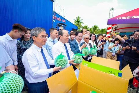 Lô bưởi đầu tiên sang Australia, gia tăng dư địa xuất khẩu rau quả