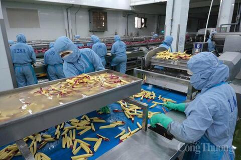 Lâm Đồng: Dư địa lớn nhưng thiếu ‘cú hích’ đầu tư chế biến sâu