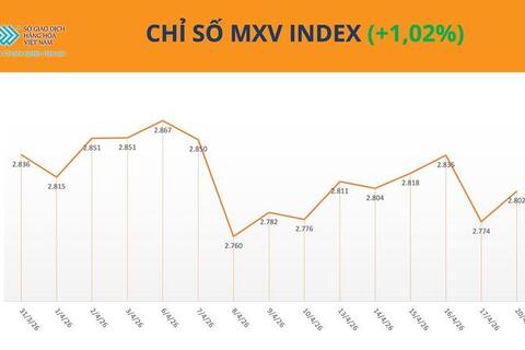 Giá cao su đồng loạt tăng, rủi ro nguồn cung vẫn đè nặng thị trường