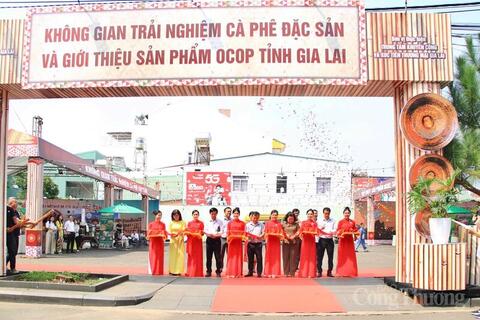 Gia Lai khai mạc không gian trải nghiệm cà phê đặc sản, sản phẩm OCOP