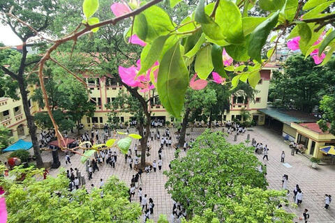 Tạo môi trường xanh để phòng chống tác hại thuốc lá xâm nhập trường học