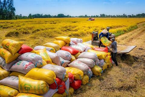 An ninh lương thực ASEAN trước phép thử mới