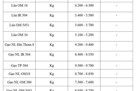 Giá lúa gạo hôm nay ngày 13/5/2026: Lúa tươi tăng nhẹ