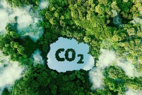Hướng tới vận hành chính thức sàn giao dịch carbon từ năm 2029