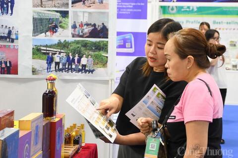 VIIEF 2026 mở rộng kết nối giao thương Việt Nam - Trung Quốc