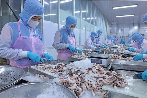 Ngăn chặn gian lận xuất xứ để bảo vệ lợi ích hàng Việt tại thị trường EU