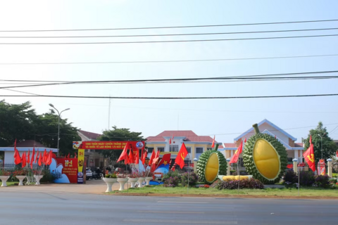 Sầu riêng - ‘đòn bẩy’ phát triển kinh tế Ea Knuếc
