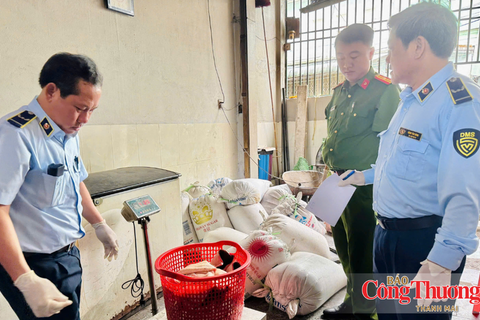 Gia Lai tạm giữ hơn 2 tấn mỡ, da động vật không rõ nguồn gốc