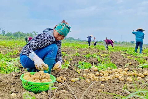 Đào tạo nghề tạo sinh kế bền vững cho đồng bào DTTS ở Quảng Ninh