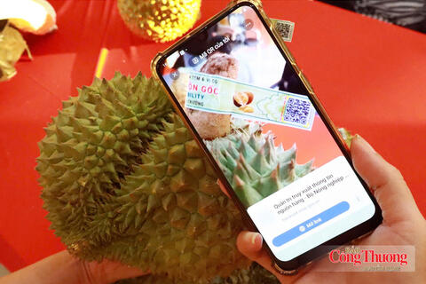 Nghị quyết số 36: Cơ hội chuẩn hóa vùng nguyên liệu sầu riêng
