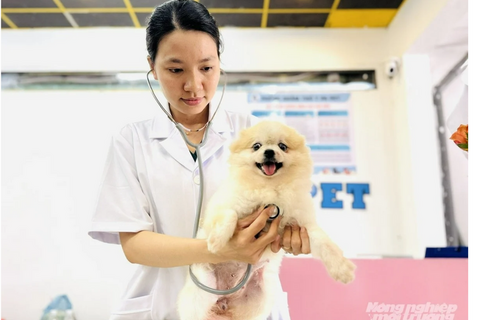 Ngành thú cưng tìm dư địa tăng trưởng từ hệ sinh thái dịch vụ