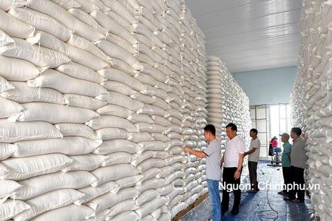 Các trường hợp nhập, xuất hàng dự trữ quốc gia theo quy định mới