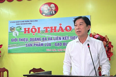 Cà Mau: Xây dựng chuỗi giá trị lúa – gạo BL9 gắn với vùng lúa – tôm