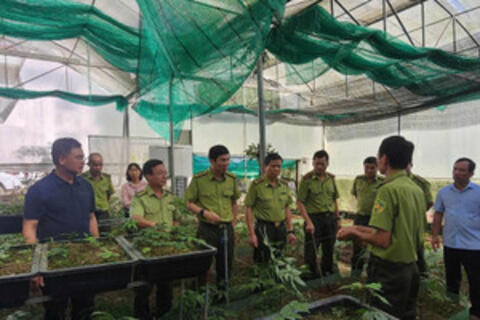 Ban Quản lý Khu bảo tồn thiên nhiên Mường La phát huy giá trị đa dụng của rừng