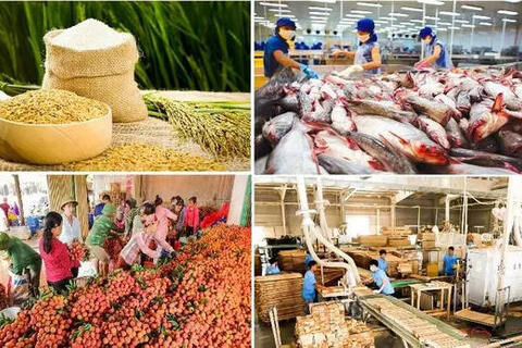 Chung tay nâng cao giá trị nông, lâm, thủy sản