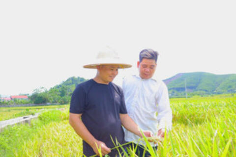 Từ vốn vay đến những mô hình sinh kế hiệu quả ở Yên Sơn