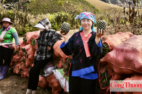 Pú Nhung: Từ đất lửa, xanh những mùa hy vọng