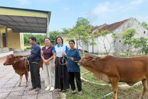 Xã Đồng Lộc trao 'cần câu' sinh kế, mở lối thoát nghèo cho người dân