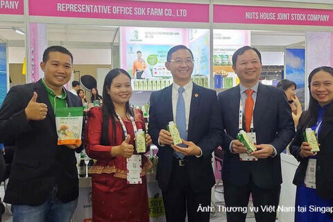 Kim ngạch thương mại Việt Nam - Singapore lập kỷ lục mới, tăng gần 50%
