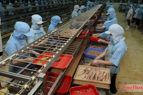 Cơ hội từ VIFTA: Thủy sản Việt sang Israel tăng mạnh