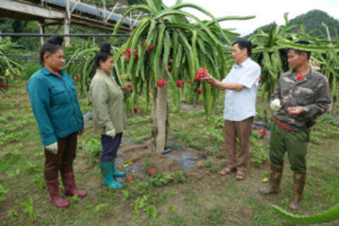 Hiệu quả từ đầu tư trường nghề ở vùng nông thôn Sơn La