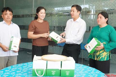 Cần Thơ: Xã Vị Thanh 1 nâng giá trị nông sản qua liên kết sản xuất