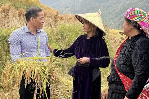 Gạo đặc sản: Nâng cao sinh kế cho đồng bào vùng cao Lũng Cú