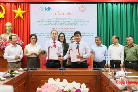 Đắk Lắk hợp tác với IDH phát triển 75.000 ha cà phê bền vững