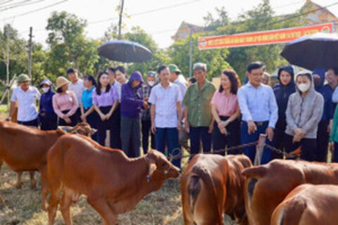 Trao tư liệu sản xuất, mở thêm sinh kế cho người nghèo Hà Tĩnh