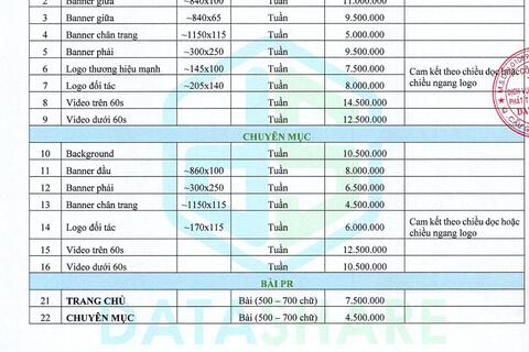 Báo giá website năm 2022