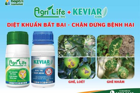 Hành trình phủ sóng các vùng canh tác trọng điểm của Hợp Trí Summit