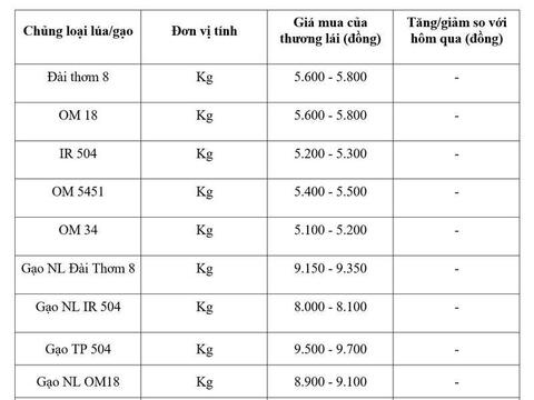 Giá lúa gạo hôm nay ngày 20/3: Giao dịch trầm lắng
