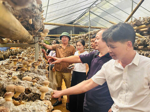 Cao Bằng: Đưa sản phẩm OCOP tiếp cận thị trường lớn hơn