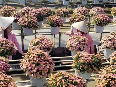 Đồng Tháp: Đặt mục tiêu đón 8 triệu lượt khách du lịch trong năm 2026