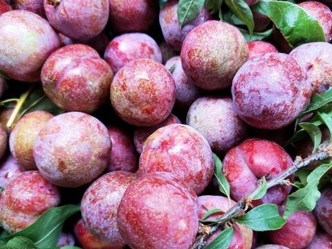 Giá nông sản hôm nay 13/4: Hàng loạt các mặt hàng tăng giá