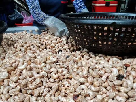 Giá nông sản hôm nay 20/4/2026: Nhiều hàng vào mùa, được giá