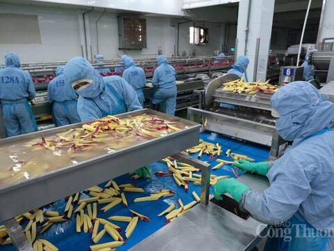 Lâm Đồng: Dư địa lớn nhưng thiếu ‘cú hích’ đầu tư chế biến sâu