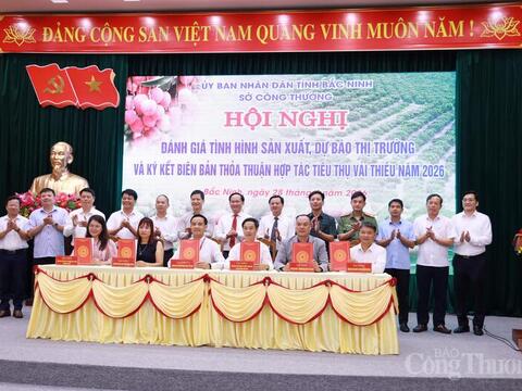 Định vị vải thiều Bắc Ninh thành sản phẩm phân khúc cao cấp