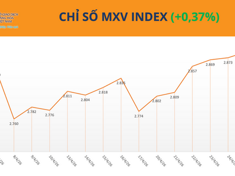 Giá đậu tương bật tăng lên cao