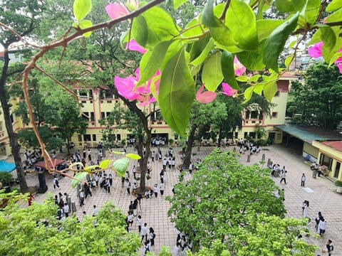 Tạo môi trường xanh để phòng chống tác hại thuốc lá xâm nhập trường học