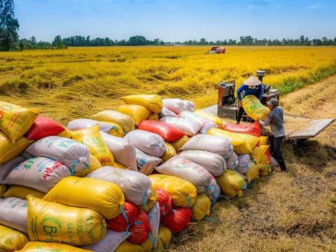 An ninh lương thực ASEAN trước phép thử mới