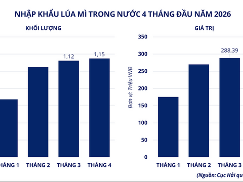 Giá lúa mì tăng vọt, nguồn cung từ Mỹ xuống thấp nhất hơn nửa thế kỷ